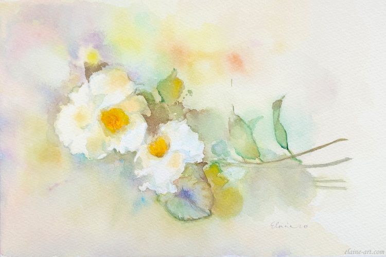 Watercolor, Salute to Yuko-水彩花之恋人