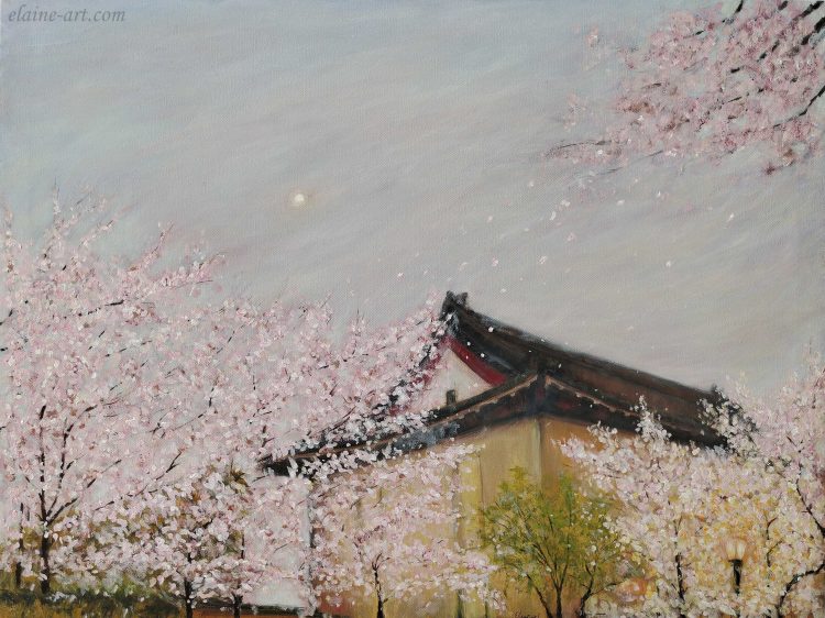 Sakura&Temple 鸡鸣寺夜樱